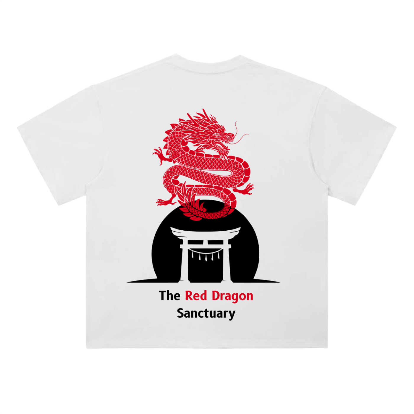 premium fashion t-shirt for men and women 3