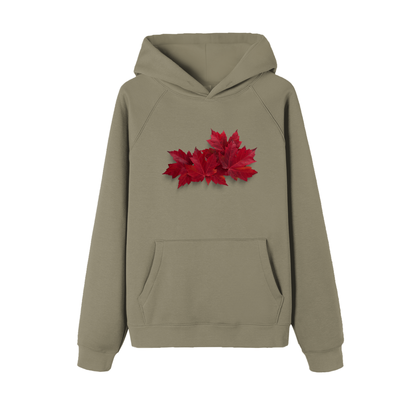 Veron Feuilles Douces luxury unisex hoodie 7