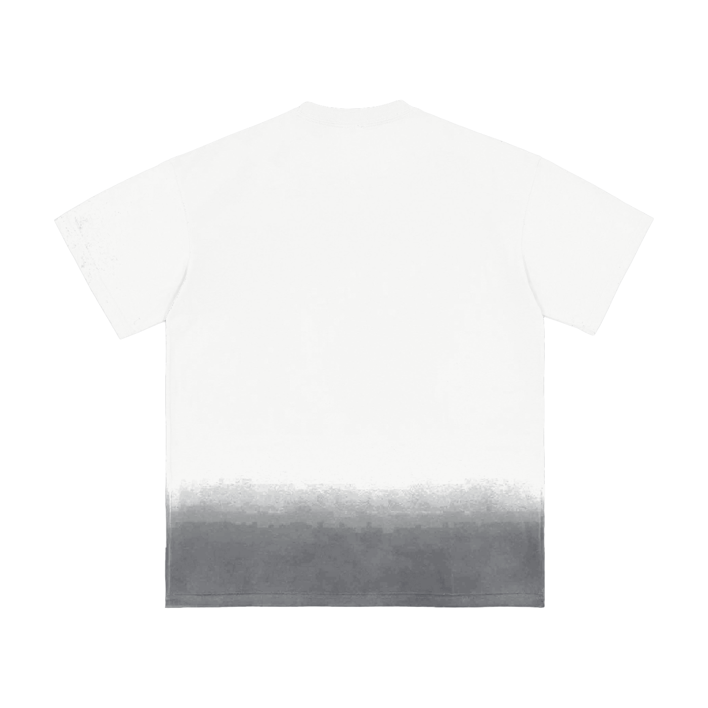 veron hotel du cygne washed t shirt 8