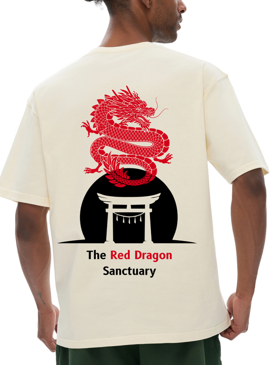 premium fashion t-shirt for men and women 1