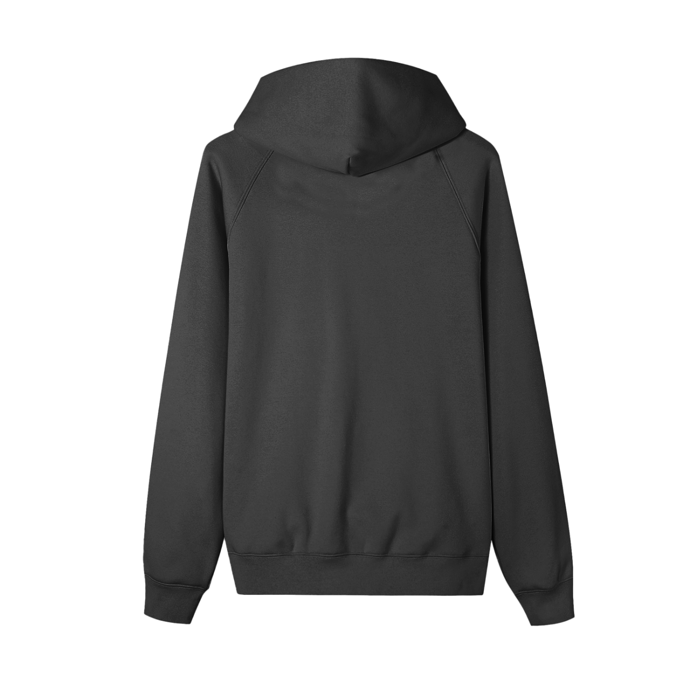 Black hoodie shown from the back on a white background