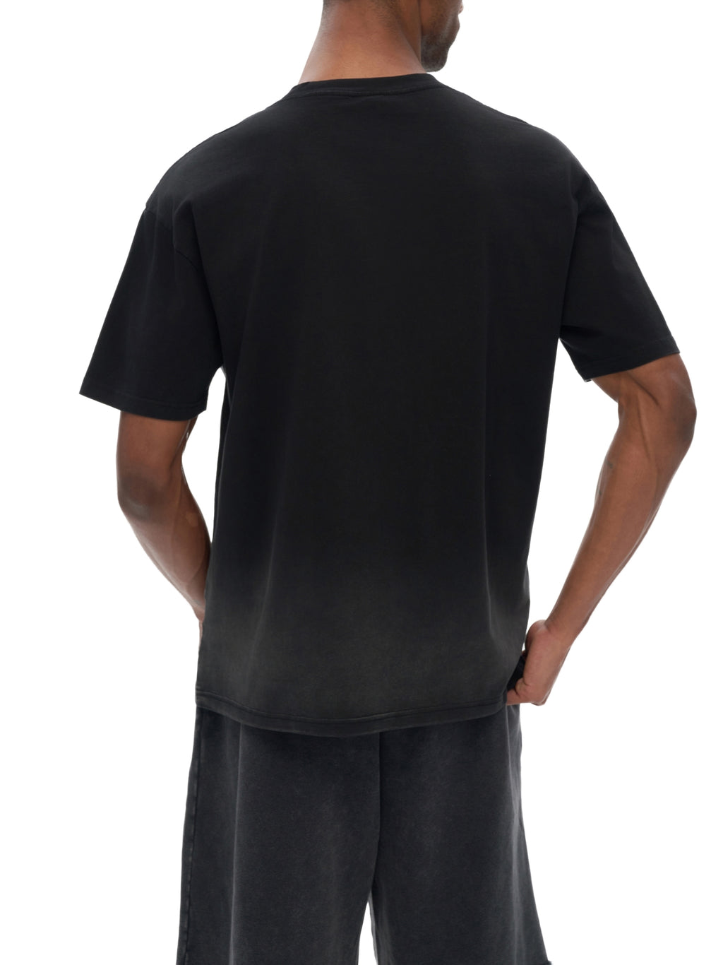 veron hotel du cygne washed t shirt 6